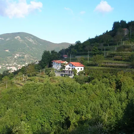 Agriturismo Il Castagno